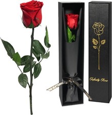 Yamonic Preserved Flowers Rose Gifts for Women Mom,Mothers Day Rose Flower Gifts