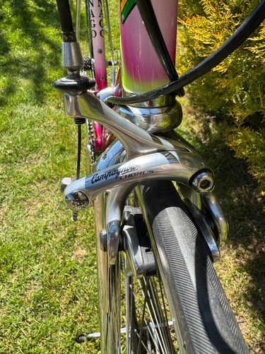 Colnago Tecnos Art Decor - Bild 12 von 19