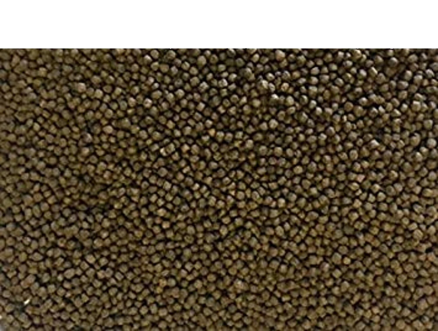 Catfish Pellet Fish Food