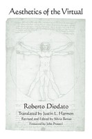 Roberto Diodato | Aesthetics Of The Virtual | Taschenbuch | Englisch (2013)