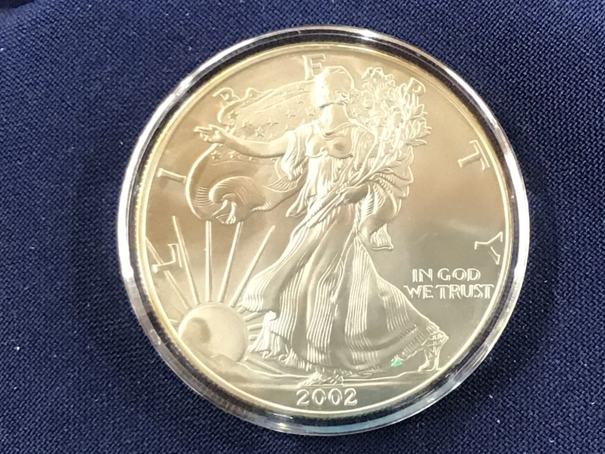 American Eagle Ungraded 2002 Silver Bullion Coins for sale | eBay