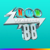 Various Artists - Now Yearbook 1988 - Vinyl Record 12 - F99Z