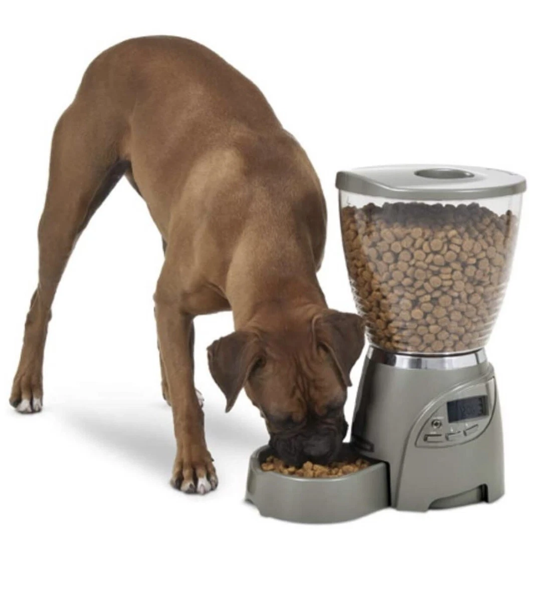 Petmate hotsell food dispenser