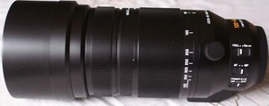 Panasonic Leica DG Vario-Elmar 100-400mm f/4-6.3 ASPH. POWER O.I.S. Zoom Lens