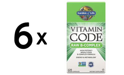 6 x Garden of Life Vitamin Code RAW B-Complex - 120 vcaps (129,62 EUR/kg)