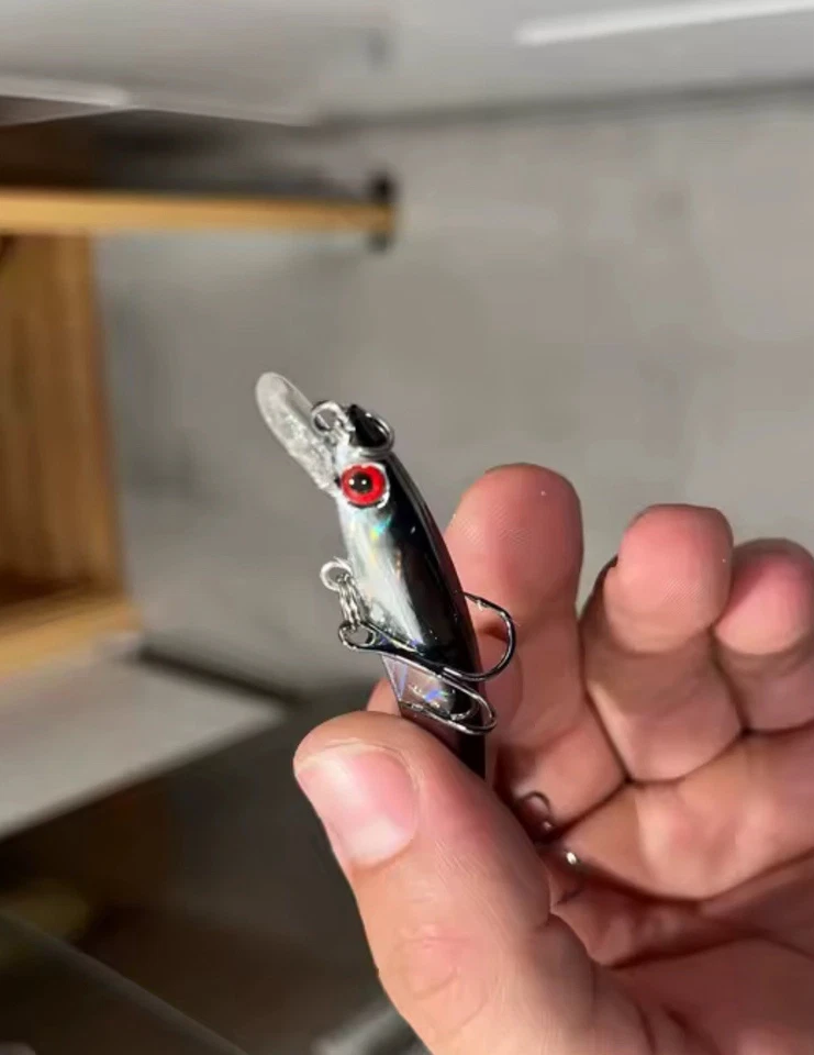 Esca minnow spinning Acqua Dolce salata 4,9g 8cm Floating Argento Acciuga Sarda - Immagine 3 di 3