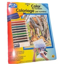 PAINT BY NUMBERS SET 10035 HORSE FOUL 10"X12" BY COLOR CO 2000 NIDP