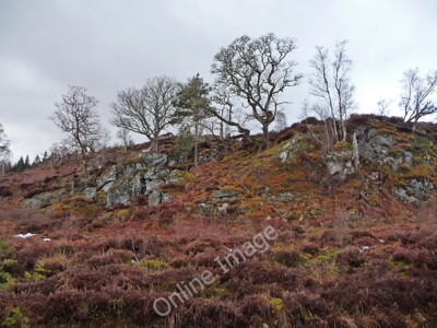 Foto 6x4 einheimische Bäume im Dundreggan Wald Drundreggan Reservoir die meisten von c2010