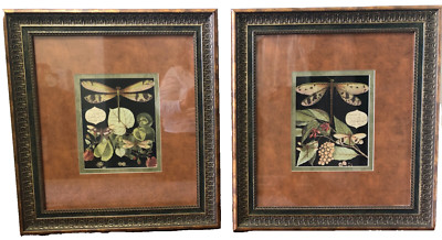 Whimsical Dragonflies & Dragonflies II  17x19 PARAGON Framed Matted Set of 2