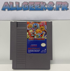 Ghost'n Goblins  - NES FRA   - Nintendo NES - TRES BON ETAT
