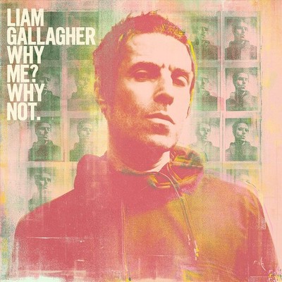 WHY ME? WHY NOT. [9/20] NEW VINYL