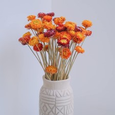 20 PCS Natural Dried Straw Flower Bouquet Daisies For Vase Fall Rustic Decor