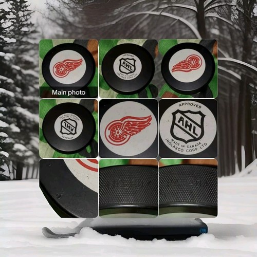 ADIRONDACK RED WINGS AHL VINTAGE APPROVED PUCK VICEROY MFG. MADE IN CANADA - Picture 3 of 10