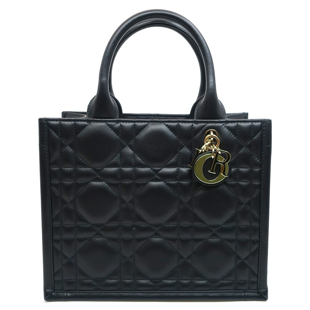 Petit sac fourre tout Dior Book 2WAY M1325OWHP bg17617