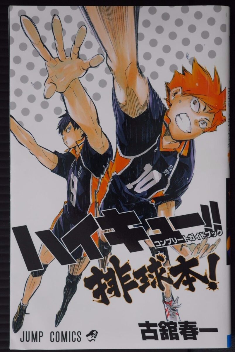 Haikyuu!! (Haikyu!!) 