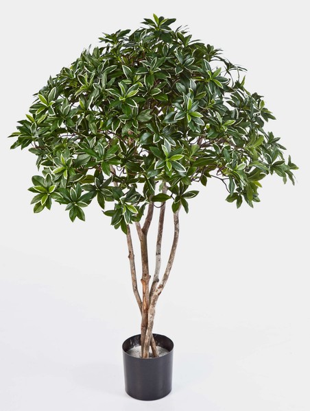 Artplants Japanischer Deko Spindelbaum Riku, 2475 BläTter, GrüN, 120Cm-image