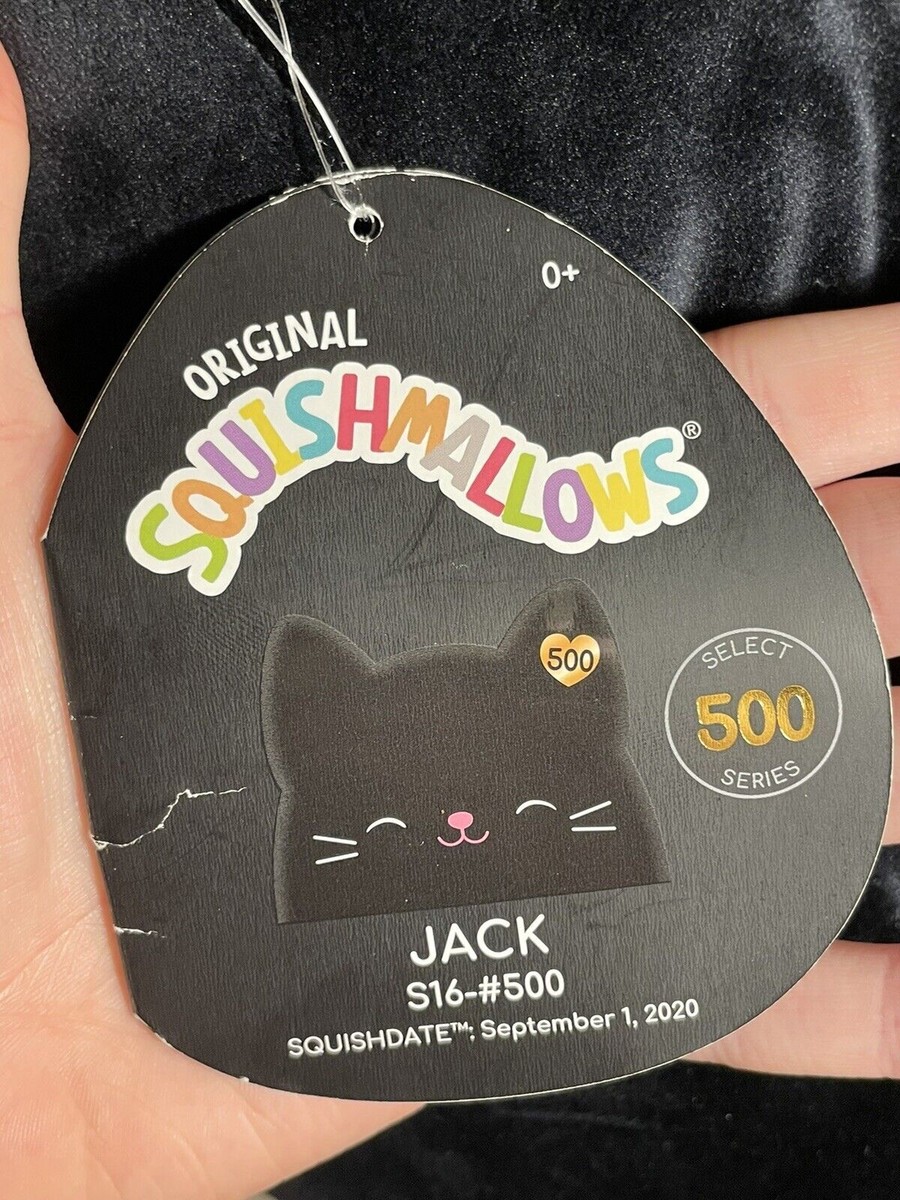 jack the black cat squishmallow