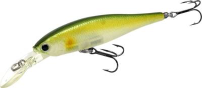 Lucky Craft B'Freeze 65SP Jerkbait JDM - Colorazione Real Tane Wakasagi (2330)