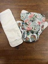 Two Reusable Diapers One Size Fits All With ALVABABY Inserts