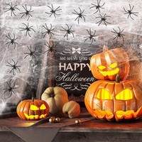 Halloween Deko Spinnennetz Fenster Garten TüR Gruselig Party 100G 40 Spinnen