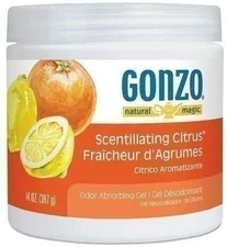 Natural Magic 4119D Odor Absorbing Gel, Scentillating Citrus, 14 oz Jar,...