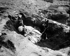 Marine with his Doberman Pinscher War Dog Iwo Jima 8 x 10 World War II Photo 611