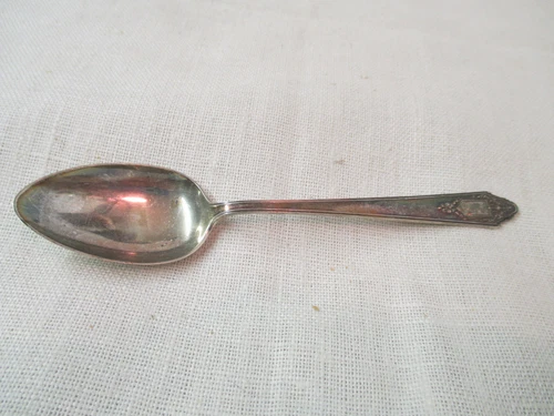 Vintage 1929 Lunt Treasure Sterling Teaspoon Granado monogram R