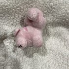 Picture 4 of 6