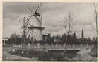 MIDDELBURG. Vlissingse Molen. Oude ongebruikte Ansichtkaart.