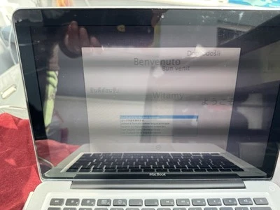 Apple MacBook Pro A1278 13.3 in. 160GB HDD 2GB RAM Laptop