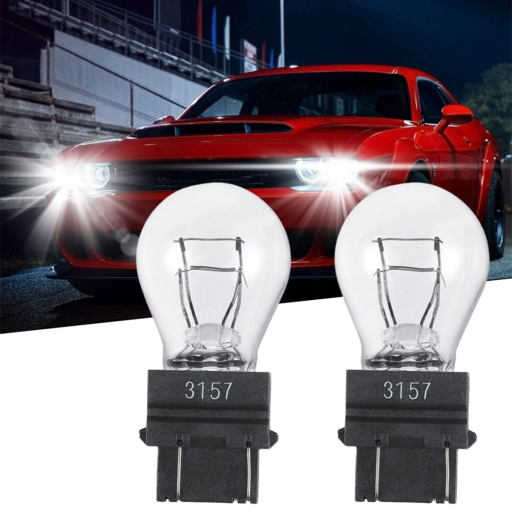Quartz halogen top light bulbs