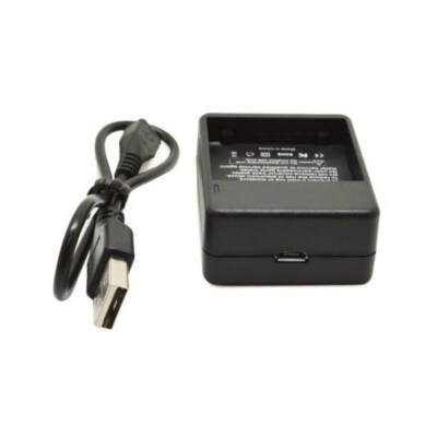 Dual Battery Charger for Xiaomi Yi 1