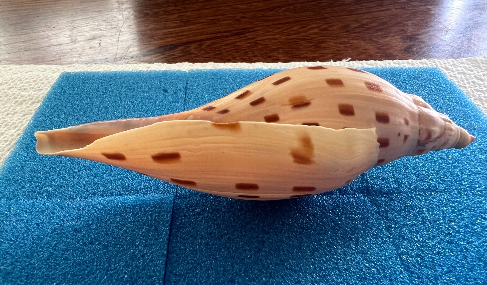 Picture 13 of 15