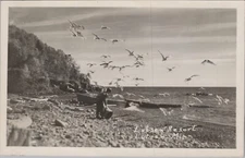 RPPC Lusten Resort Minnesota Birds Man on Beach Shoreline Postcard UNP 10311a