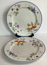Set of 2 Savoir Vivre Luscious JJ017 Dinner Plates 11”