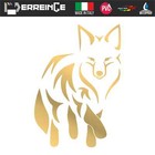 Imagen 6 de 11