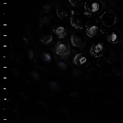 Crumb Ice Melt (CD) Album (US IMPORT)