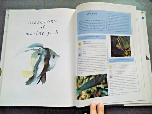 TROPICAL FISH IDENTIFIER A Complete Guide to Identifying, Choosing, + Keeping - Picture 4 of 14