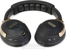 Positive Grid Spark Neo