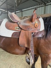 14  Circle Y barrel saddle the proven