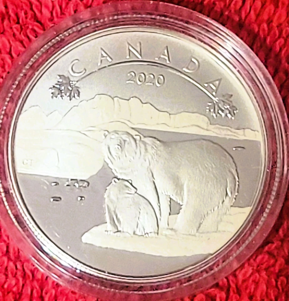 2020 $10 PRATA PURA - CONJUNTO COMPLETO - O CANADÁ, PROVA FOSCA! - Imagem 4 de 4