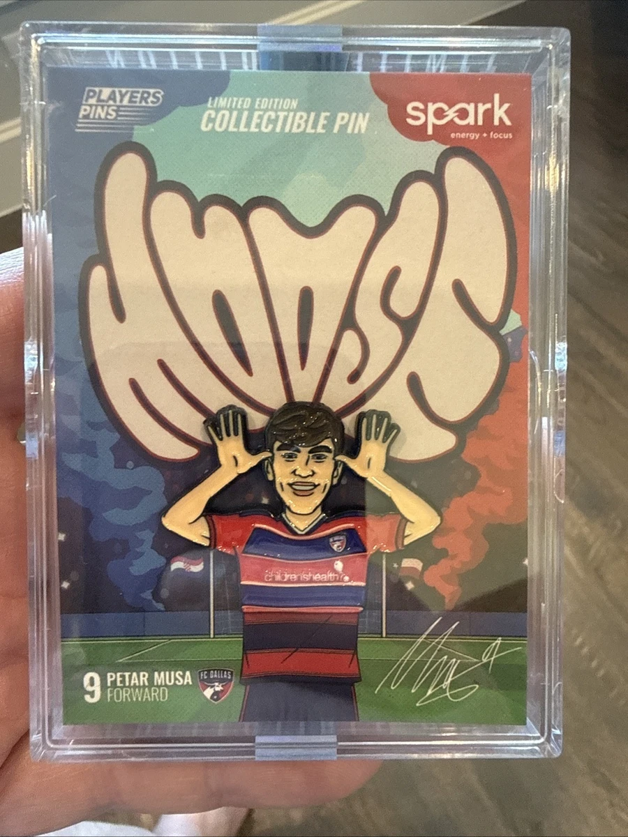 20UNIONS COLLECTION PINS ラグビー ワールドカップ ピン Rugby World