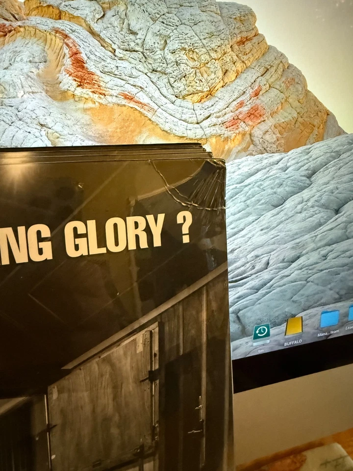 OASIS WHAT'S THE STORY MORNING GLORY? DOUBLE PEARL VINYL Damaged sleeve sealed - Image 2 of 3