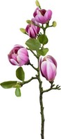 artplants KüNstlicher Zweig Magnolie Nerlena, Cerise, 65Cm