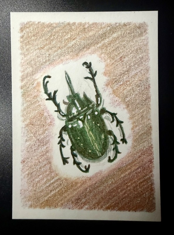 ACEO “Beetle Mania” Original ACEO (Art Cards, Editions & Originals) –Artwork