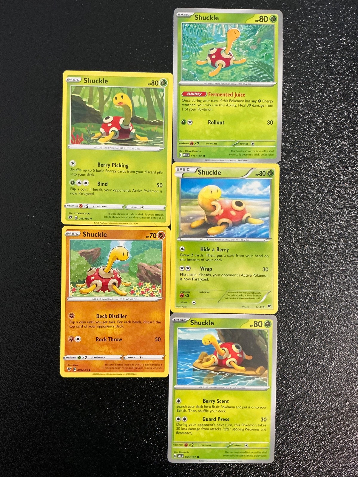 5 Shuckle Pokemon TCG mixed Lot cards 🐢🍝😍😍