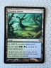 Magic the Gathering MTG Flooded Grove Eventide #177 Rare LP