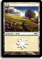 Plains (MPS 2007) FOIL Promo JAPANESE NM Land Special MAGIC MTG CARD ABUGames