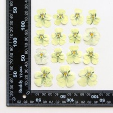 12PCS Real Pressed Dry Pansies/Violas Flower for art candle craft FSS47 2