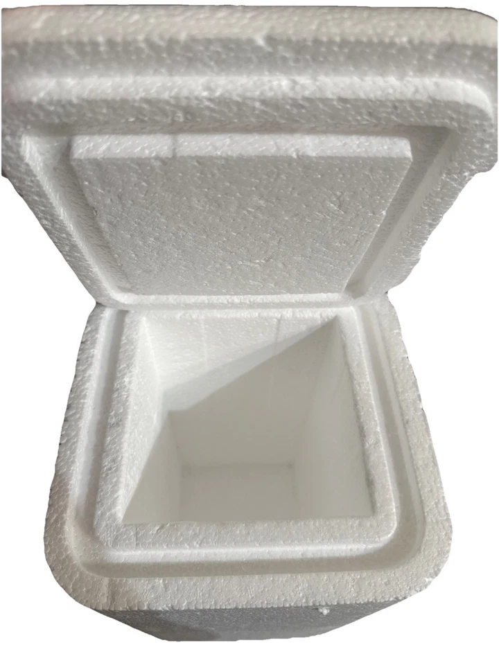insulated Styrofoam shipping cooler foam container 10x 5 x 5 Inside measure - Image 2 of 4